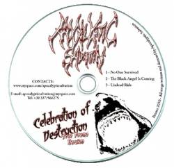 Celebration of Destruction